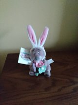 disney bunny gopher in Aurora, Illinois