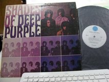 Shades of deep purple in Palatine, Illinois