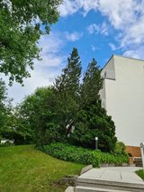 nice condo near downtown and Kurpark in Wiesbaden, GE