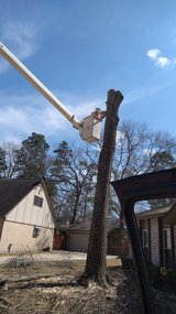 ANTONIO JOYA TREE SERVICES in Kingwood, Texas