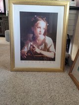 framed art in Batavia, Illinois