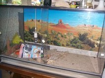Huge Terrarium 600l---Cages in Ramstein, Germany