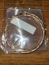 Earrings in Alamogordo, New Mexico