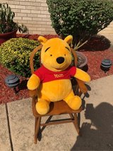 Winnie the Pooh in Aurora, Illinois