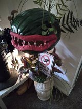 Audrey Little Shop of Horrors Plant in Joliet, Illinois