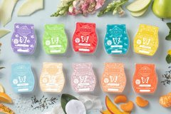 Scentsy  wax bars in Warner Robins, Georgia