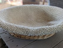 Does your new doggy or kitty need a bed ? in Alamogordo, New Mexico