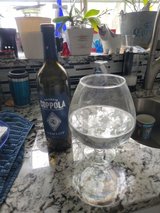 GIGANTIC  Wine Glass in Oswego, Illinois