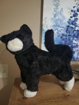 Realistic toy kitty in Alamogordo, New Mexico