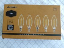 Brand New Decorative Light Bulbs in Wheaton, Illinois