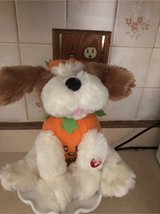 singing dog in Wheaton, Illinois
