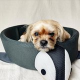 Brand New Penguin Pet Bed (washable) in Kingwood, Texas