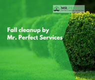 Do you know our Fall -yard Cleanup Service? in Ramstein, Germany