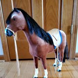 American Girl Horse, Penny in Plainfield, Illinois