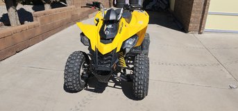 2019 Can Am DS 250 in Alamogordo, New Mexico
