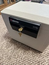 Sentry Fireproof Safe in Alamogordo, New Mexico