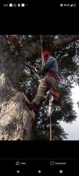 Antonio Joya tree services in Kingwood, Texas