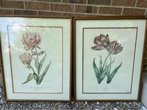 Pair Vintage Tulip Botanicals in Glendale Heights, Illinois