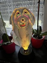 Lamp for kids room 220volt a doc and a fish in Baumholder, GE