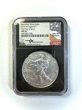 Burnished Silver Eagle in Okinawa, Japan