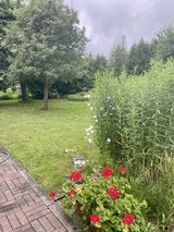 Family TLA/TDY 4bdr, 3bath, fenced yard & car / in Ramstein, Germany
