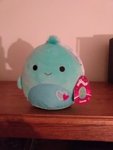 SQUISHMALLOW TURTLE VALENTINE in Aurora, Illinois