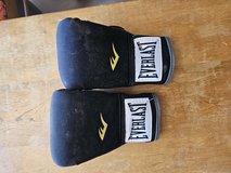 Core Boxing Gloves in Alamogordo, New Mexico