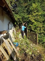 Yard Work/Lawn Care/Maintenance/Pressure washing Service      book your spring cleanup and lawn ... in Ramstein, Germany