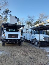 Tree removal service/Stump Grinding Cut Rite Tree Care in Camp Lejeune, North Carolina