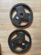2x 45lb olympic plates in Stuttgart, GE