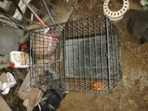 Dog Kennel in DeRidder, Louisiana