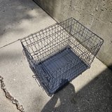 Dog Cage in Aurora, Illinois