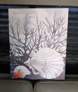 canvas seashell & coral art beautiful in Alamogordo, New Mexico