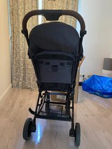 21 days old Buggy is for sale in Stuttgart, GE