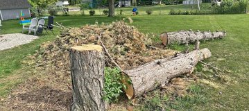 Firewood and brush in Naperville, Illinois