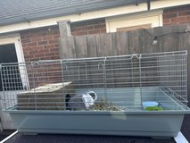 Gorgeous mini lop girl with cage available in Wiesbaden, GE
