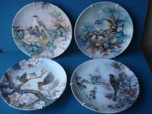 NINE NEW BIRD PLATES BY LENA LIU in Kaneohe Bay, Hawaii