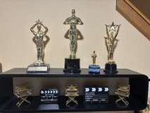 Oscar Academy Award Party Decor - 9 Items in Aurora, Illinois