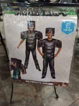 Minecraft costume in Aurora, Illinois