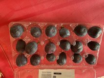 A carton of figs in Alamogordo, New Mexico