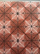 Halloween throw blanket in Aurora, Illinois
