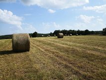 Hay in the field in Rolla, Missouri