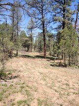5 Acres in Timberon, NM in Alamogordo, New Mexico
