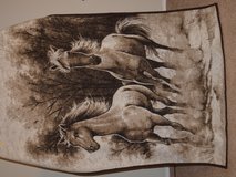Blanket/Throw Horse Large in San Angelo, Texas