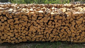 Firewood Hardwood in Ramstein, Germany