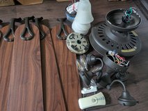 Ceiling fan with light in Batavia, Illinois