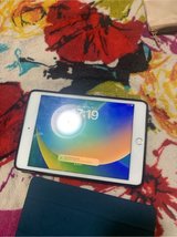iPad mini 5 in Okinawa, Japan