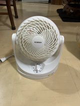 Small Fan in Okinawa, Japan