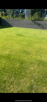 Kaiserslautern house for rent in Ramstein, Germany
