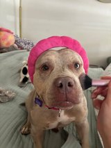 Miss Vegas Loves Spa Days in Vacaville, California